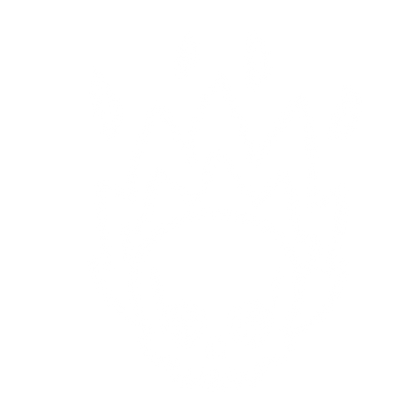 Brotege Grunge Skull with Flames Sticker